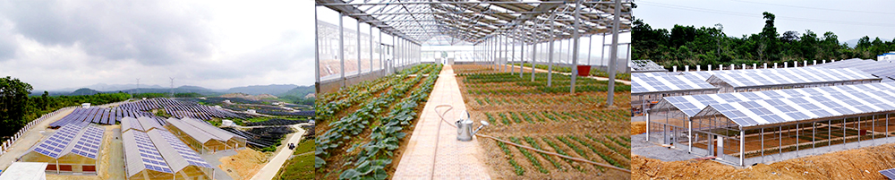 Tunchang 20MW Modern Agricultural Solar Grid-Connected Power Station Demonstration Project(图3) Tunchang 20MW Modern Agricultural Solar Grid-Connected Power Station Demonstration Project(图3)