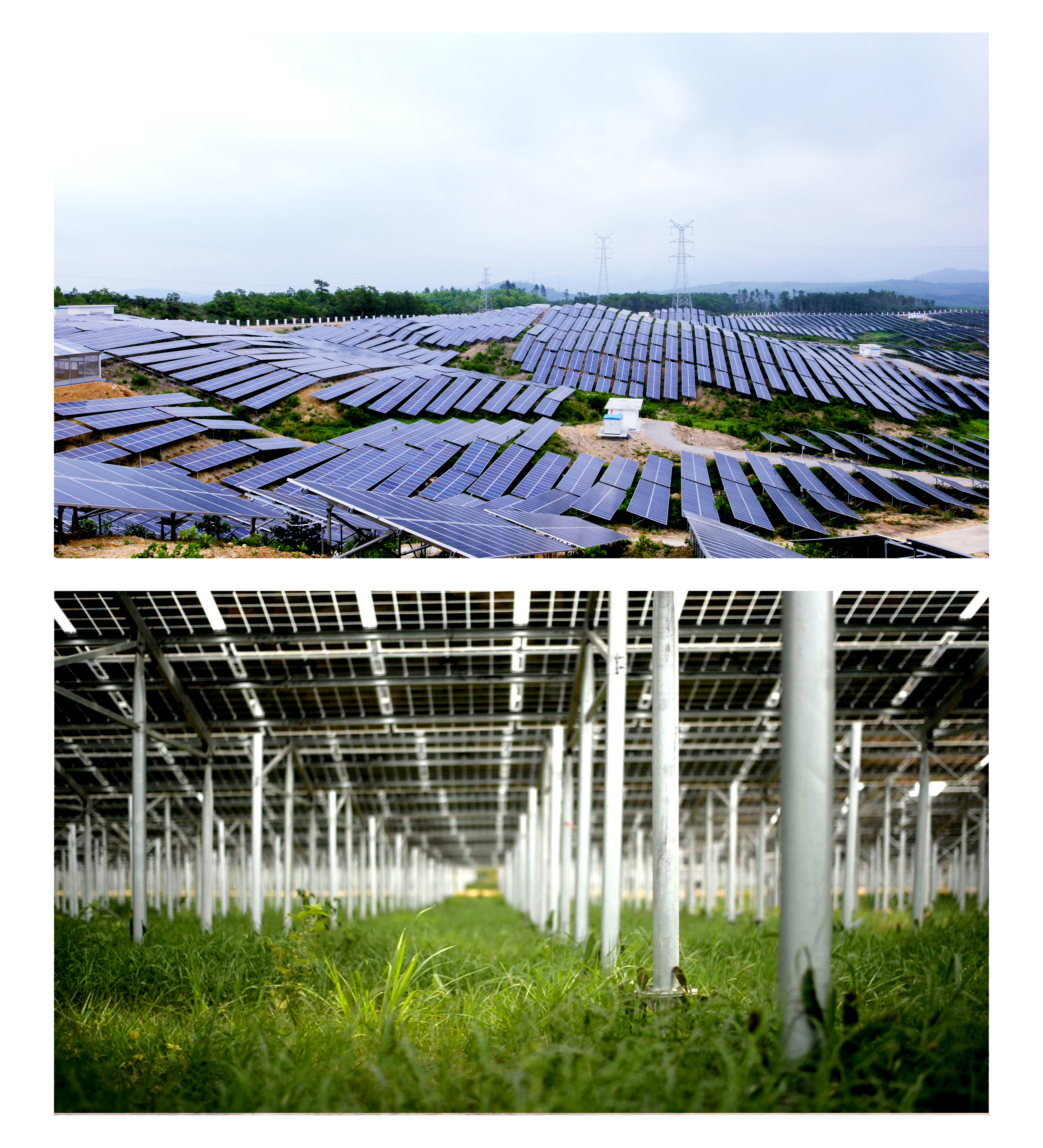 China Power International Development Limited.Changjiang 20MW Photovoltaic Agricultural Comprehensiv(图1) China Power International Development Limited.Changjiang 20MW Photovoltaic Agricultural Comprehensiv(图1)
